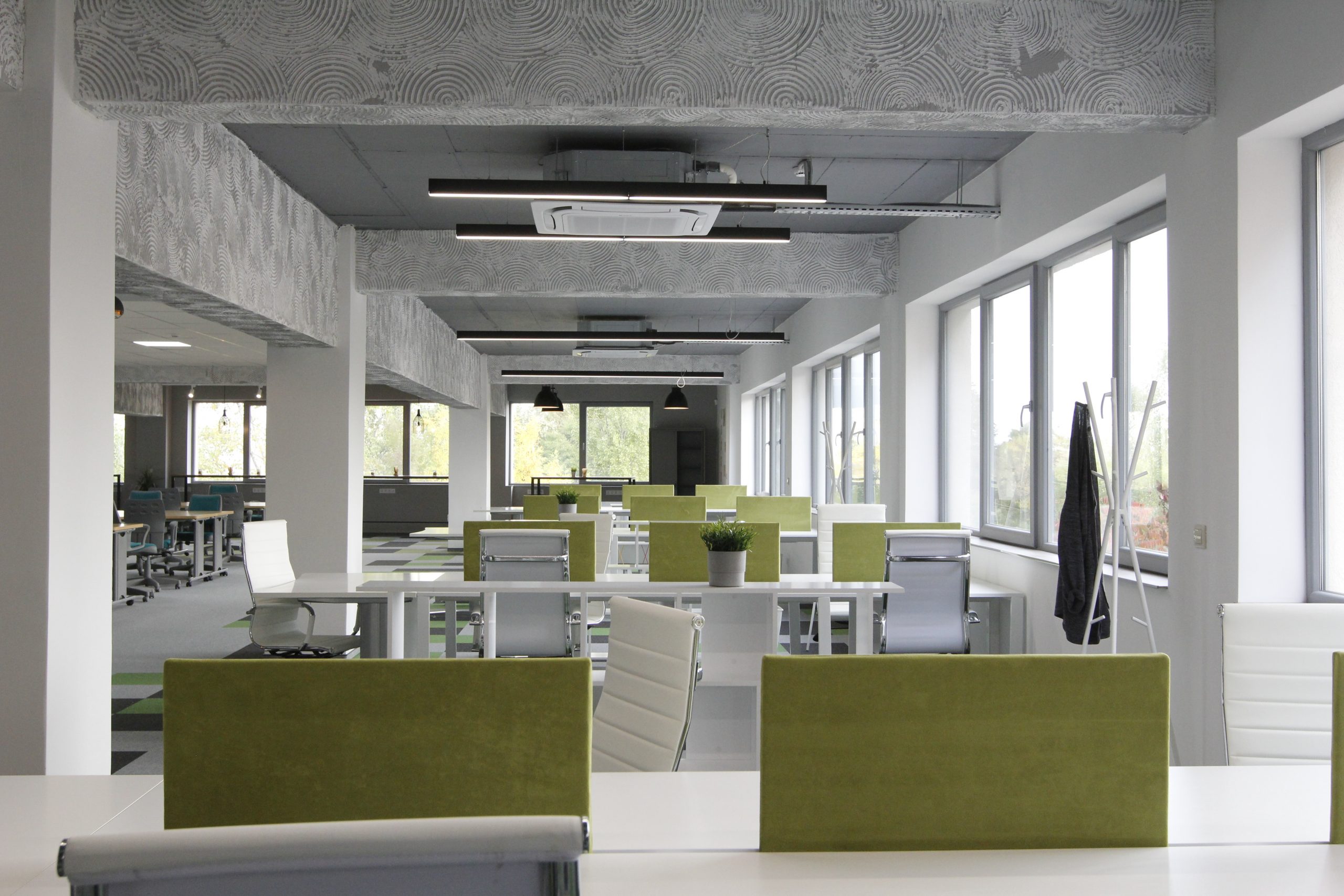 Biz Hub