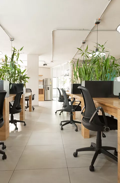 Semilla Coworking