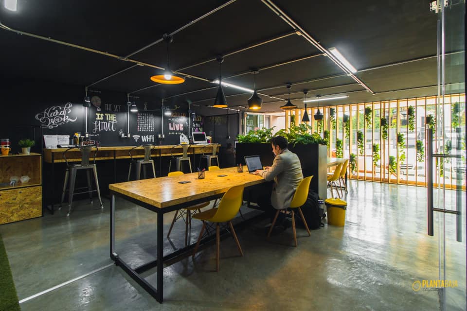 Planta Baja Cowork