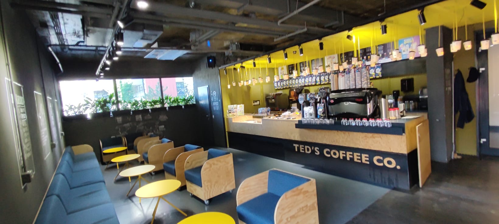 TED's Izvor