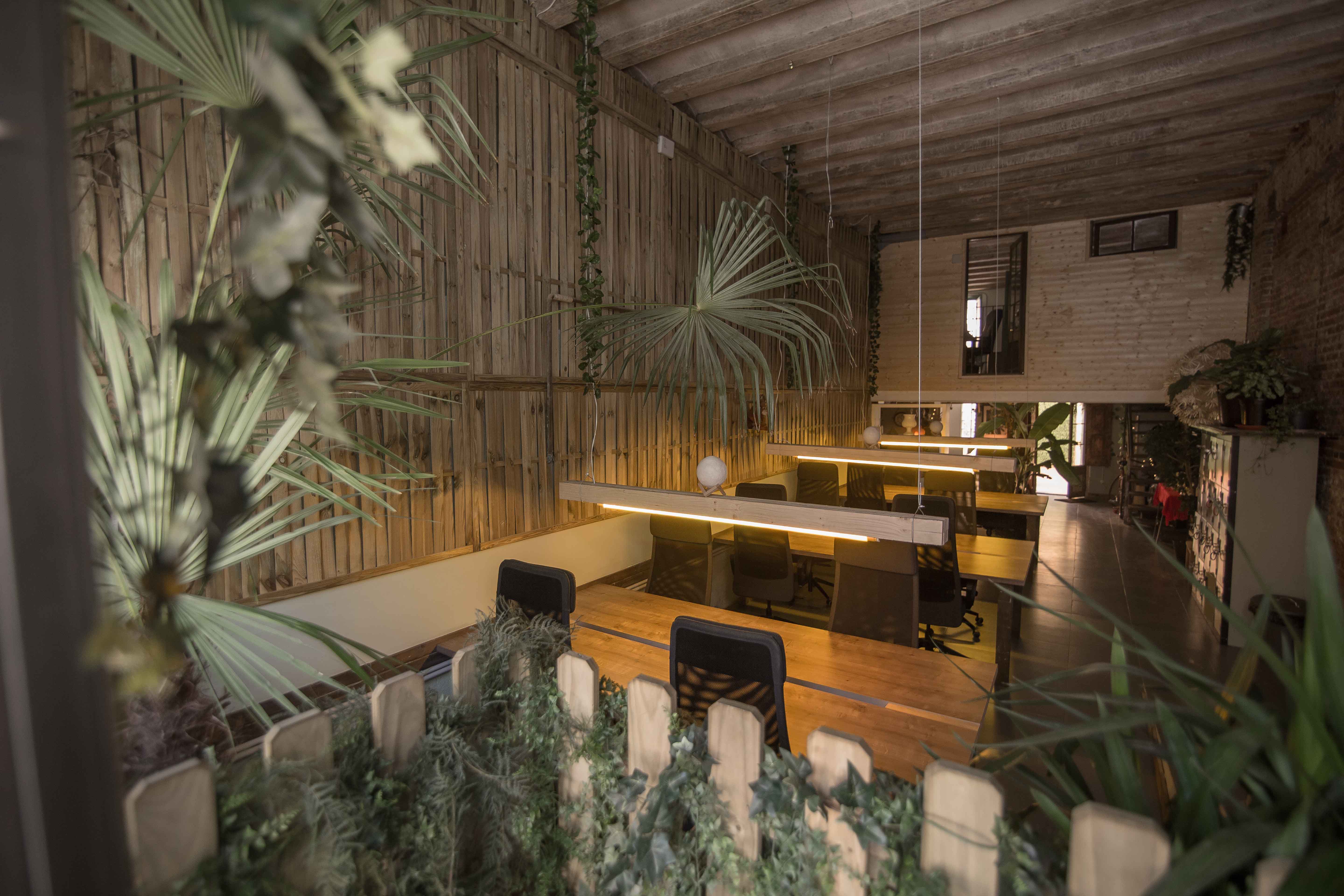 JUNGLE Coworking