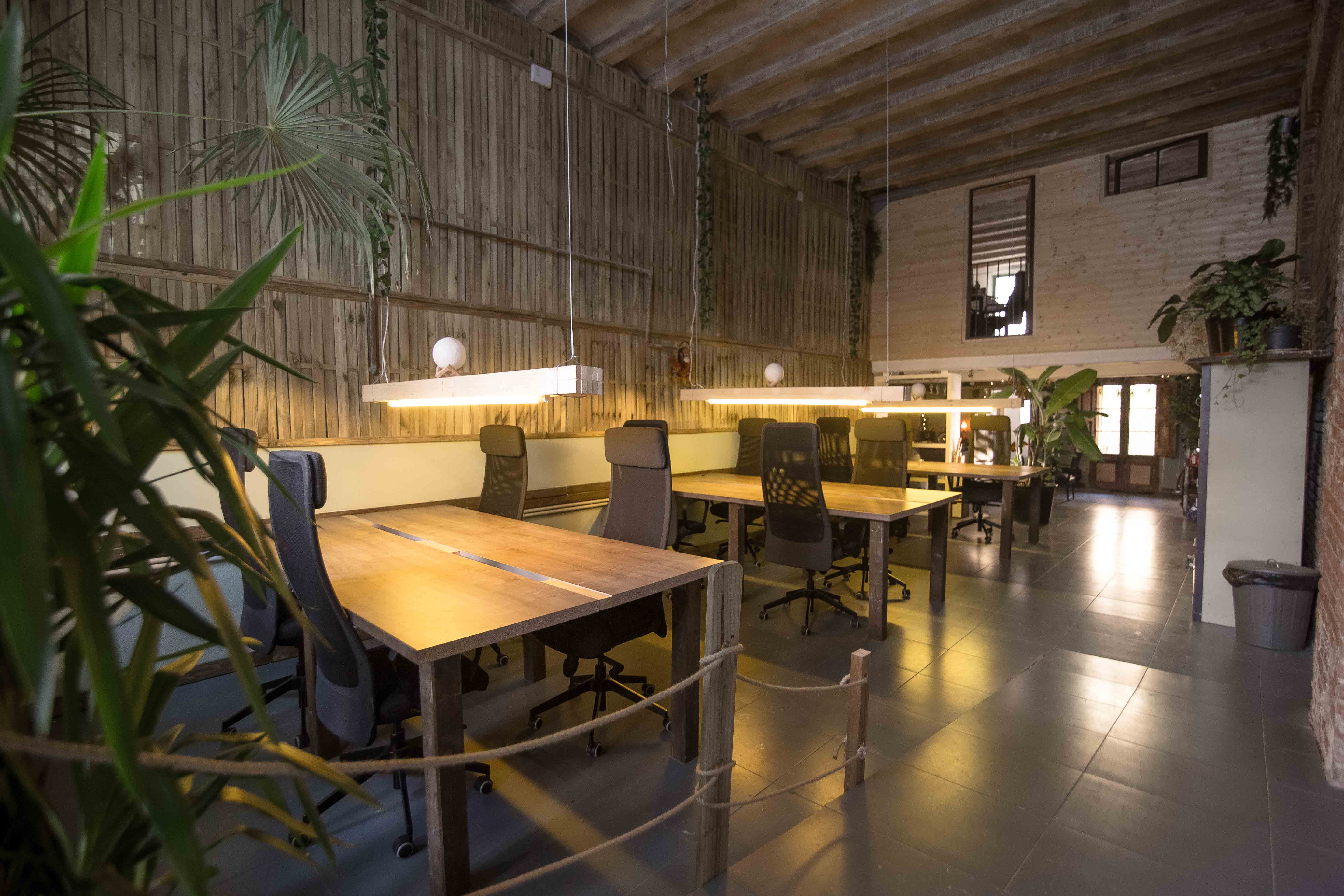JUNGLE Coworking