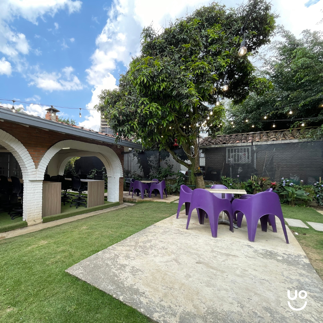 Quokka Patio Bonito